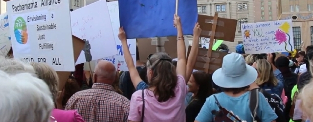 climate protesters