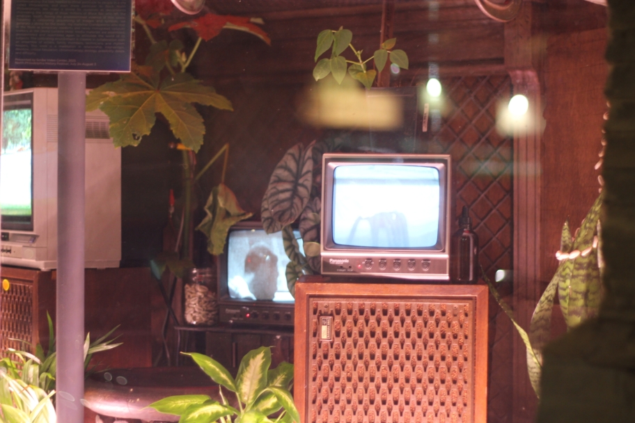 it be your own people video installation by muthi reed