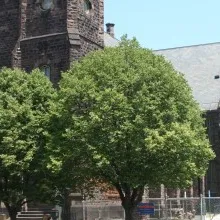 Hallwalls Contemporary Arts Center