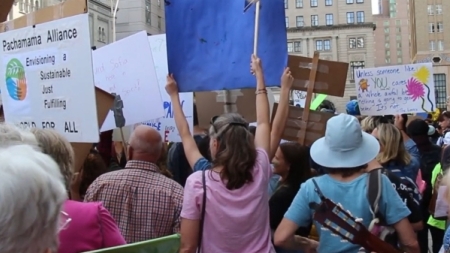 climate protesters